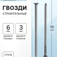 Гвозди ТУНДРА, строительные, ГОСТ 4028-63, без покрытия, 3&times;70 мм, фасовка 0.2 кг