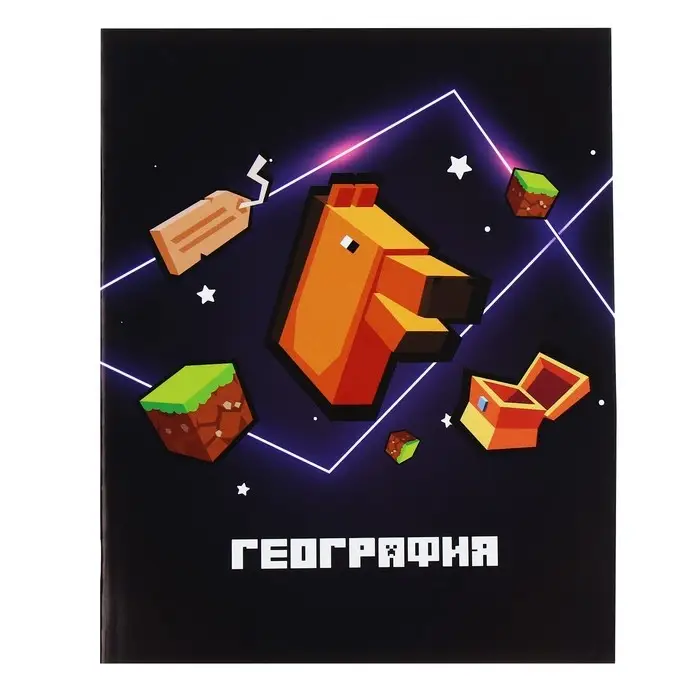 Тетрадь предметная 36 листов в клетку Calligrata &laquo;Пиксели. География&raquo;, обложка мелованный картон