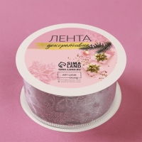 Новый год! Лента капроновая с металлической нитью &laquo;Звёзды и вьюнки&raquo;, 38 мм &times; 2,7 &plusmn; 0,5 м, цвет серебряный