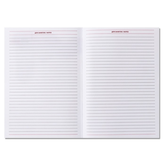 Ежедневник недатированный А5, 160 листов "Вивелла", обложка искусственная кожа, перфорация углов, чёрный