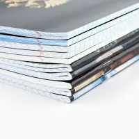 Тетради предметные, 36 л., набор из 10 шт., блок №1 &laquo;Россия&raquo;