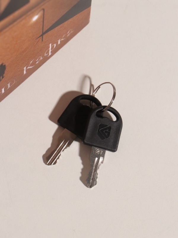 Сейф-книга дерево кожзам "Франц Кафка. Процесс" тиснение 21х13х5 см