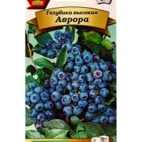 Семена Голубика высокая Аврора Сладкоежка, Ц/П,0,01 г