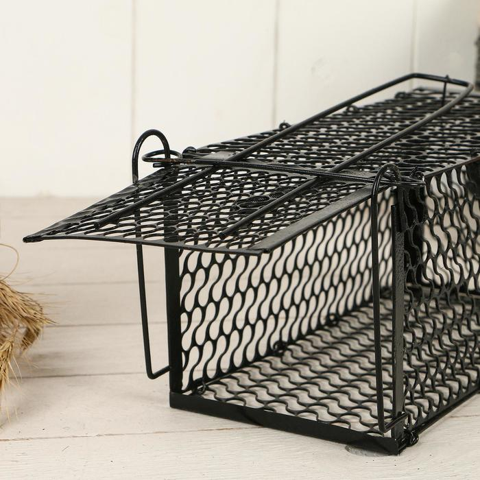 Крысоловка, 24 &times; 12 &times; 12 см, металлическая, Greengo