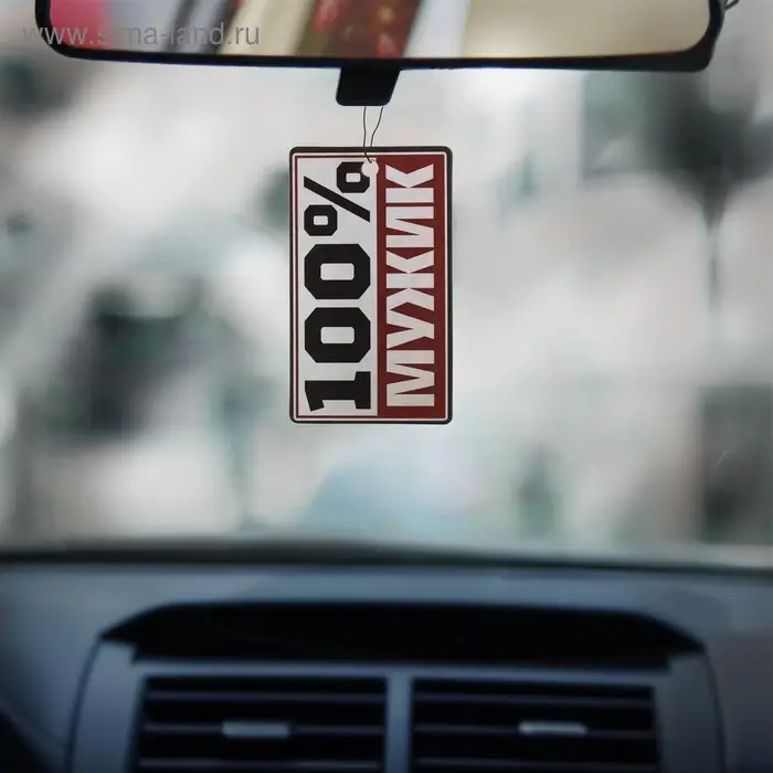 Ароматизатор в авто &laquo;100% мужик&raquo;, аромат: океан