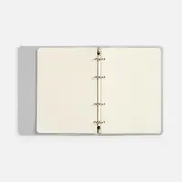 Ежедневник Ringo, недатированный, серебристый