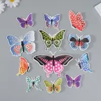 Набор магнитов на холодильник &laquo;Горошек&raquo;, 12 шт., картон, h=4-10 см