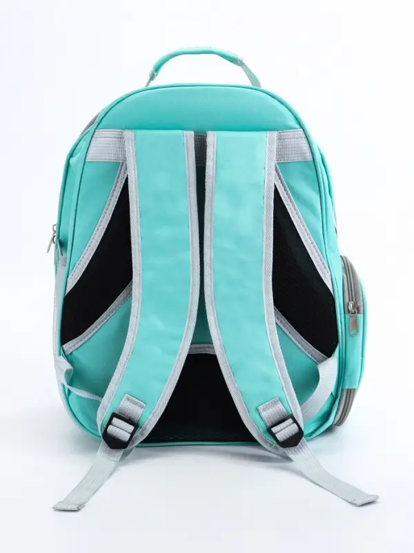 Рюкзак для переноски животных прозрачный, 31 х 28 х 42 см, бирюзовый
