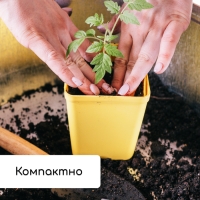 Набор для рассады: стаканы по 200 мл (18 шт.), поддон 36,5 &times; 17 см, цвет МИКС, Greengo