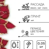 Семена цветов Колеус блюме "Райнбоу" смесь сортов, ц/п, 0,05 г