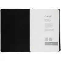 Ежедневник Alanis, недатированный, черный c голубым