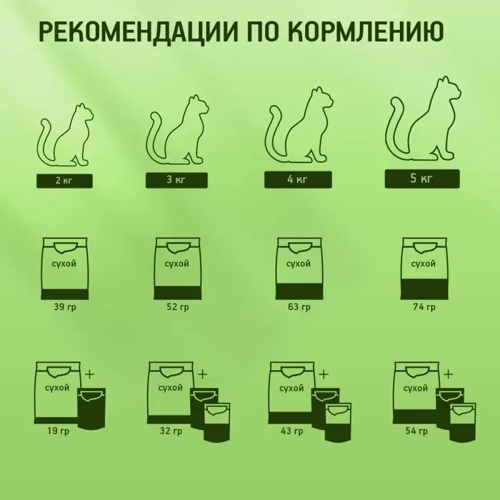 Влажный корм KiteKat для кошек, курица в желе, пауч, 85 г