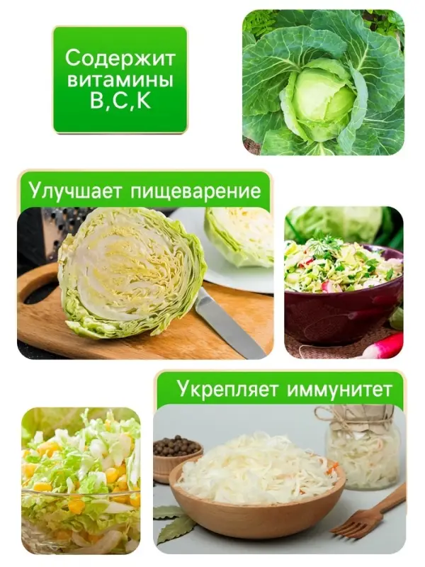 Семена Капуста белокочанной "Вьюга", 0,3 г