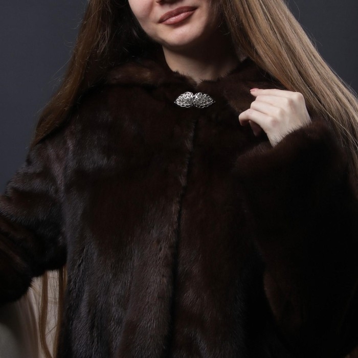 Декоративная застёжка, 6 &times; 2 см, цвет серебряный