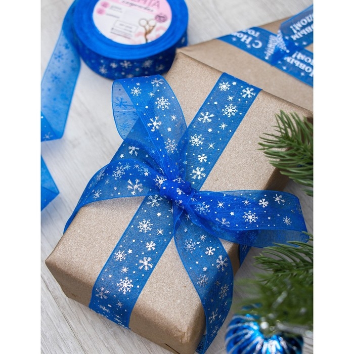 Новый год! Лента капроновая с тиснением &laquo;Снежинки&raquo;, 25 мм &times; 23 &plusmn; 1 м, цвет синий/серебряный №040