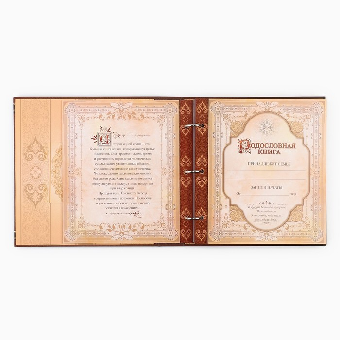 Родословная книга с рамкой под фото &laquo;Семейная летопись&raquo;, 50 листов, 21,5 х 23,7 см.