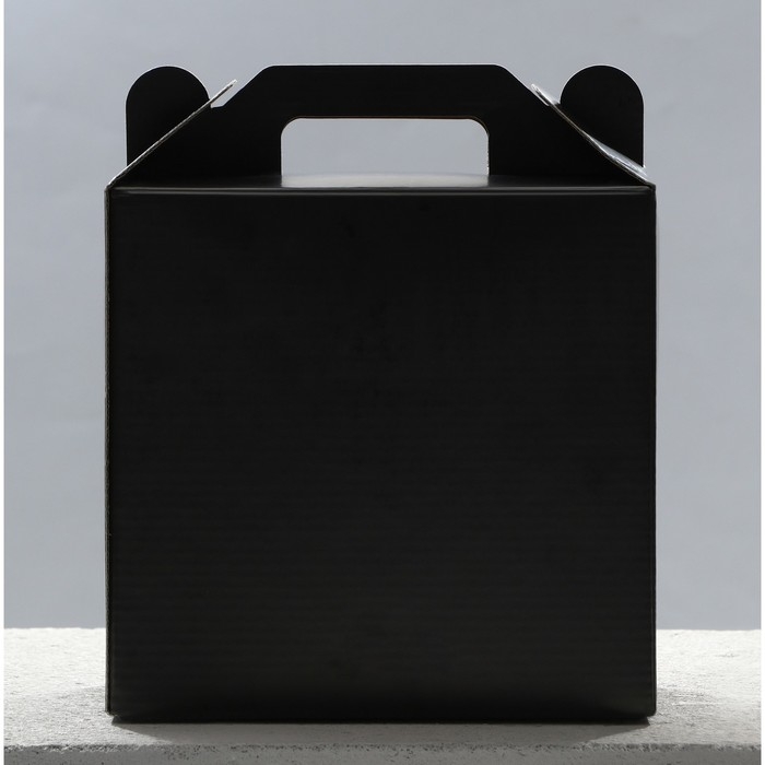 Бокалы для пива парные  &laquo;100% мужик&raquo;, 570 мл.