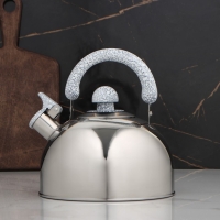 Чайник со свистком из нержавеющей стали Доляна &laquo;Мрамор&raquo;, 3 л, фиксированная ручка, цвет хромированный