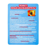 Игровой набор &laquo;Эпоха динозавров&raquo;, 2 артефакта, с эпоксидной смолой