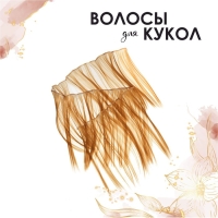 Волосы-тресс для кукол &laquo;Прямые&raquo; длина волос: 25 см, ширина: 100 см, цвет № 27