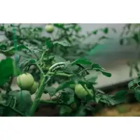 Кистедержатель &laquo;Улитка&raquo;, 4 см, набор 50 шт., Greengo