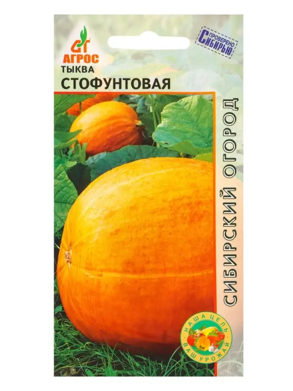 Семена Тыква "Стофунтовая" 6 шт