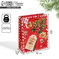 Пакет подарочный новогодний ламинированный &laquo;Подарок от Деда Мороза&raquo;, 12 х 15 х 5.5 см