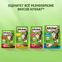 Сухой корм Whiskas для кошек, Телятинка аппетитная, 1.3 кг