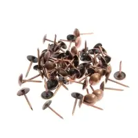 Гвозди ТУНДРА, декоративные, обивочные, 8&times;15 мм, медь, фасовка 50 шт.