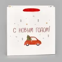 Пакет подарочный ламинированный квадратный &laquo;Волшебного&raquo;, 22&times;22&times;11 см