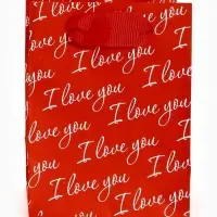 Пакет ламинированный Love you, 9 &times; 12 &times; 6,5 см