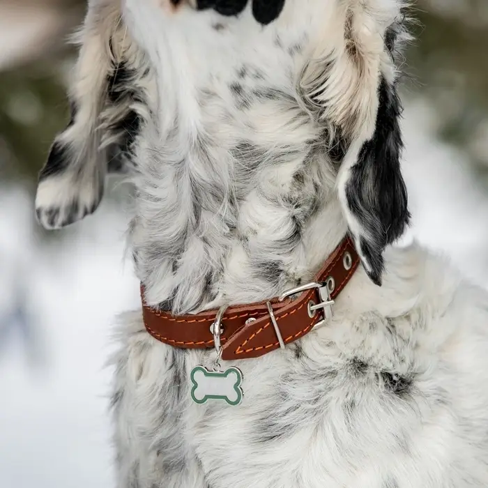 Адресник под гравировку "Косточка" объёмная, 3,2 х 2,3 см, зелёный