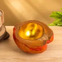 Чаша из кокоса, 24х22х10 см, красный-золотой