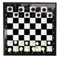 Шахматы магнитные 31 х 31 см, король h-5.8 см, d-2.3 см, доска и фигуры пластик