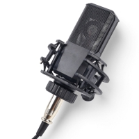 Микрофон конденсаторный Music Life LGT240: стойка + кабель в комплекте