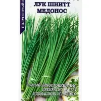 Семена Лук Шнитт Медонос /Сотка/ 0,3г/ до 40см/*1200