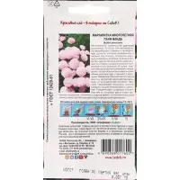 Семена Цветов Маргаритка "Пани Ванда "0.05 г