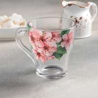 Кружка &laquo;Живая природа. Сакура&raquo;, стеклянная, 250 мл