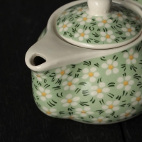 Чайник заварочный &laquo;Весеннее цветение&raquo;, 200 мл , с металлическим ситом, цвет зеленый