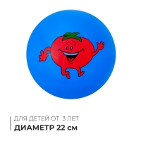 Мяч детский &laquo;Ассорти&raquo;, d=22 см, цвет МИКС