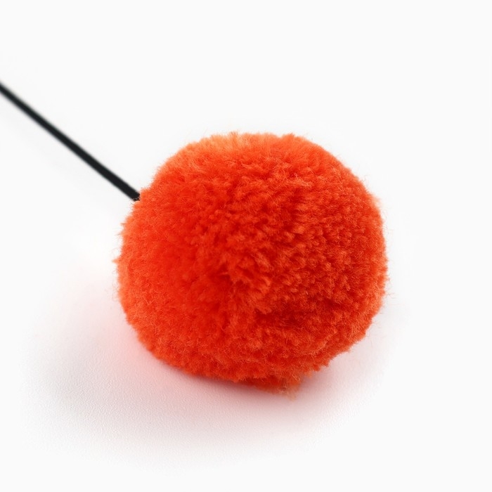 Дразнилка с деревянной подвеской &laquo;Мордочка&raquo;, 4 см