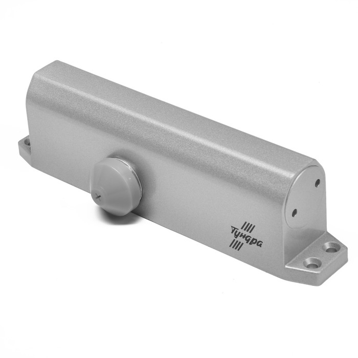 Доводчик дверей ТУНДРА G072  морозостойкий, до -50, до 120 кг, цвет серебро