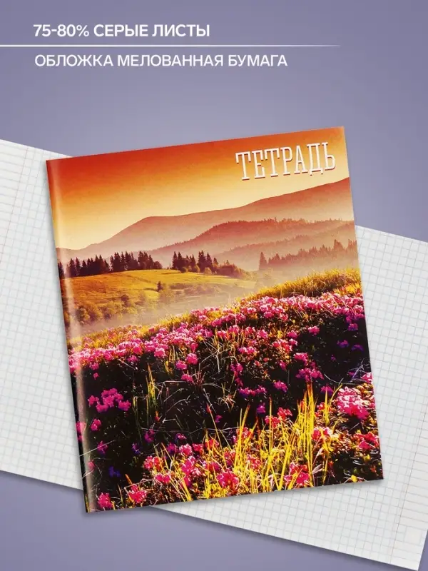 Тетрадь 48 листов в клетку, Calligrata &laquo;Времена года&raquo;, обложка мелованная бумага, серые листы, МИКС