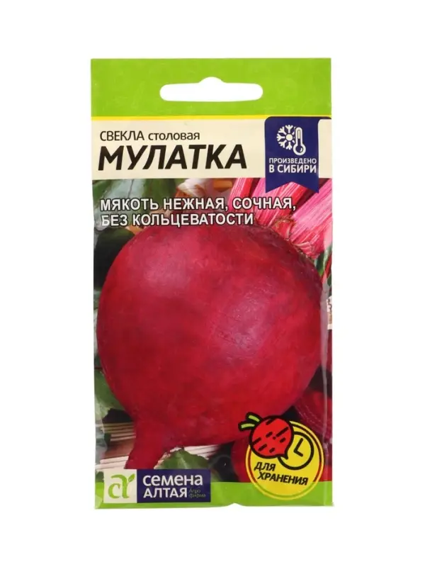 Семена Свёкла &laquo;Мулатка&raquo;, 2 г, &laquo;Семена Алтая&raquo;