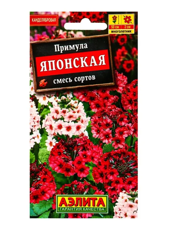 Семена цветов Примула японская, смесь окрасок Мн, Ц/П,20 шт.