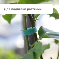 Лента &laquo;Липучка&raquo; для подвязки растений, 5 м, зелёная, Greengo