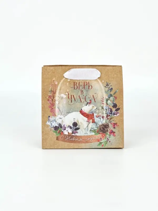 Набор новогодних пакетов &laquo;Верь в чудеса&raquo;