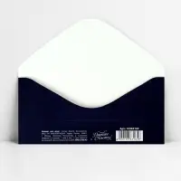 Конверт для денег &laquo;Поздравляю&raquo;, 16.5 х 8 см