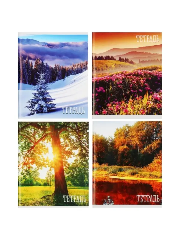 Тетрадь 48 листов в клетку, Calligrata &laquo;Времена года&raquo;, обложка мелованная бумага, серые листы, МИКС