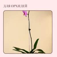 Опора для орхидей, h = 44 см, пластик, прозрачная, МИКС